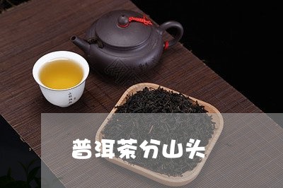 普洱茶分山头/2023042840220