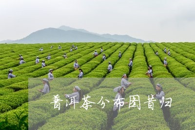 普洱茶分布图昔归/2023120326261