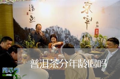 普洱茶分年龄喝吗/2023112621504