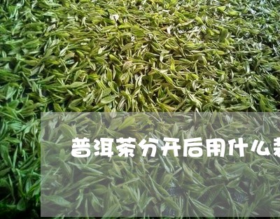 普洱茶分开后用什么装/2023080103926