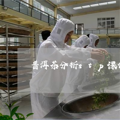 普洱茶分析stp课件/2023061497169