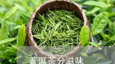 普洱茶分滋味/2023042711583