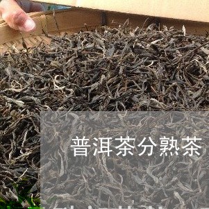 普洱茶分熟茶/2023042882981