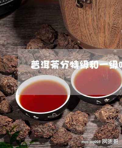 普洱茶分特级和一级吗/2023061591614