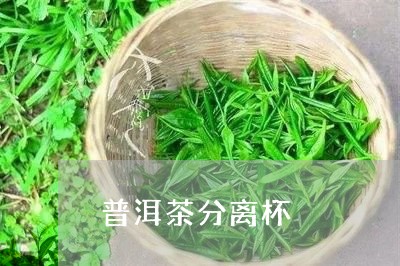 普洱茶分离杯/2023042738392