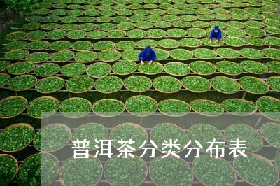 普洱茶分类分布表/2023121661694