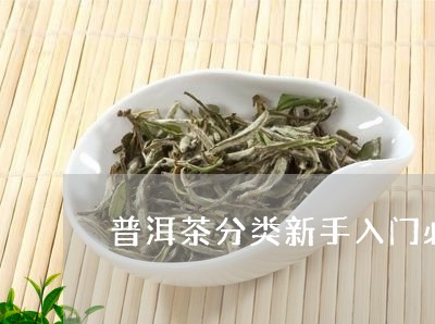 普洱茶分类新手入门必看/2023122000481