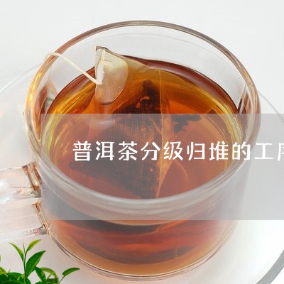 普洱茶分级归堆的工序/2023093098269