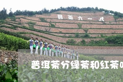 普洱茶分绿茶和红茶吗/2023062883862