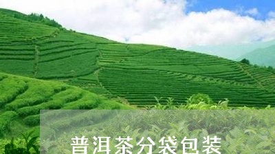 普洱茶分袋包装/2023112668492