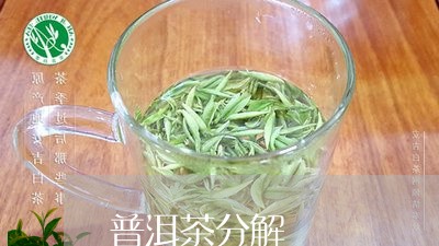 普洱茶分解/2023090639470