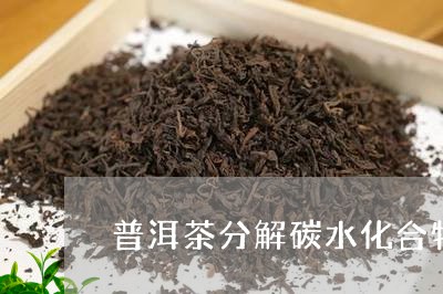 普洱茶分解碳水化合物/2023092661704