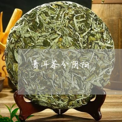 普洱茶分阴阳/2023042809103