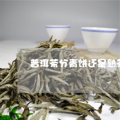 普洱茶分青饼还是熟茶/2023080114148