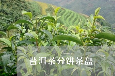 普洱茶分饼茶盘/2023120339405