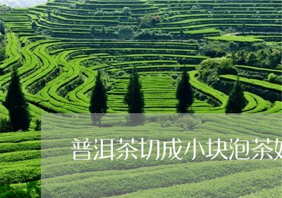 普洱茶切成小块泡茶好吗/2023110372716