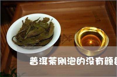 普洱茶刚泡的没有颜色/2023062091694