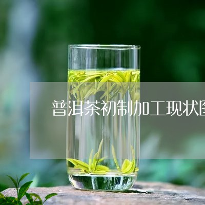 普洱茶初制加工现状图片/2023050689281