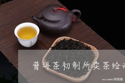 普洱茶初制所卖茶给谁/2023073072696