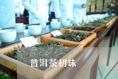 普洱茶初味/2023102567594