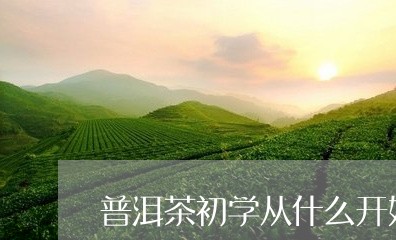 普洱茶初学从什么开始/2023100507180