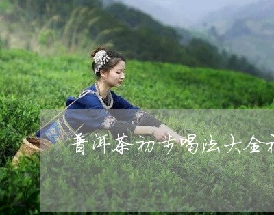 普洱茶初步喝法大全视频/2023101760595