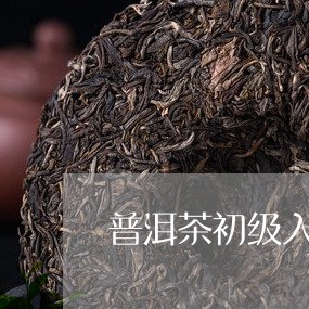 普洱茶初级入门知识大全/2023082921381