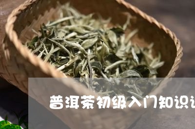 普洱茶初级入门知识讲解/2023121695036