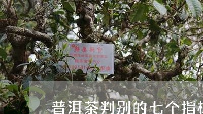 普洱茶判别的七个指标/2023072343636