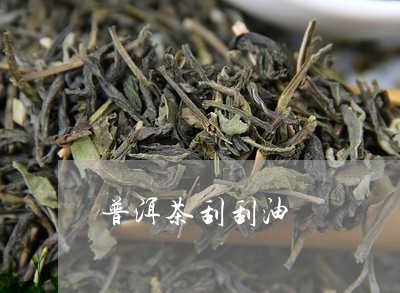 普洱茶刮刮油/2023042887255