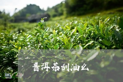 普洱茶刮油么/2023042775499