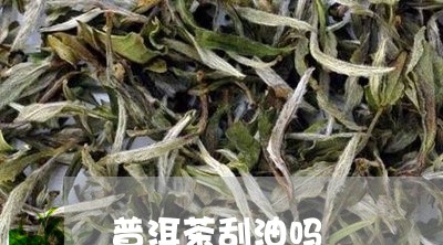 普洱茶刮油吗/2023042944772