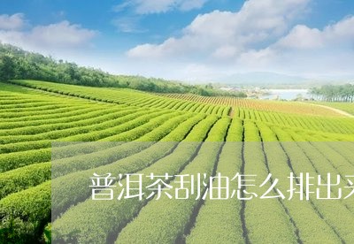 普洱茶刮油怎么排出来的图片/2023081585835