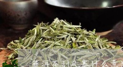 普洱茶刮风寨什么意思/2023073120583