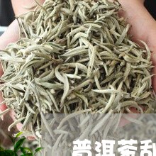 普洱茶刮风寨生茶特点/2023100749825