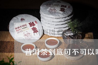 普洱茶到底可不可以喝/2023092669382