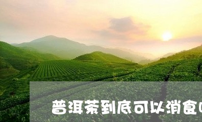 普洱茶到底可以消食吗/2023062556361