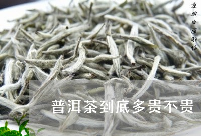 普洱茶到底多贵不贵/2023110332926