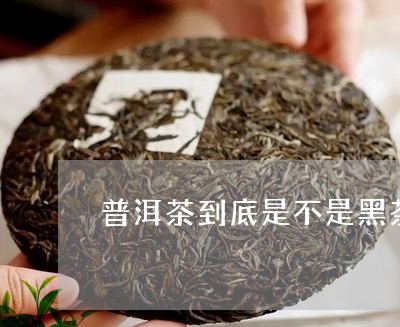 普洱茶到底是不是黑茶/2023062228715