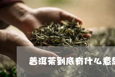 普洱茶到底有什么意思/2023072213838