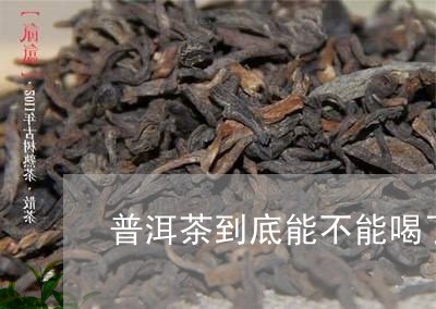 普洱茶到底能不能喝了/2023062961936