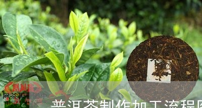 普洱茶制作加工流程图/2023062227271