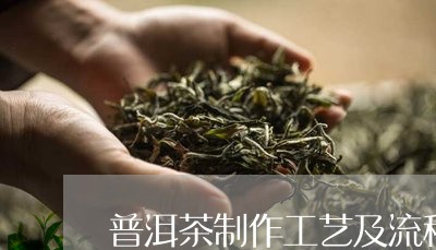 普洱茶制作工艺及流程/2023062292958