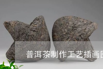 普洱茶制作工艺插画图片大全/2023110431482