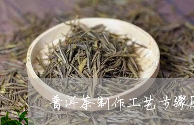 普洱茶制作工艺步骤图/2023062379593