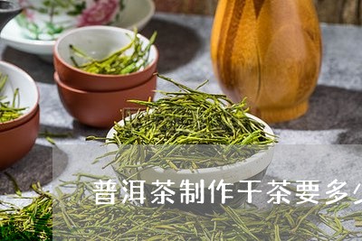 普洱茶制作干茶要多少/2023080345059