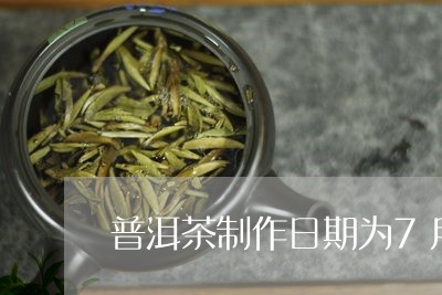 普洱茶制作日期为7月/2023092808704