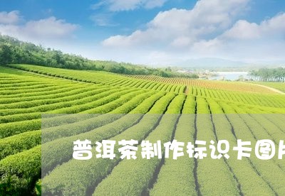 普洱茶制作标识卡图片/2023120647172