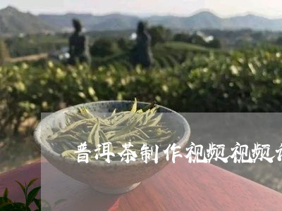 普洱茶制作视频视频讲解/2023082705047