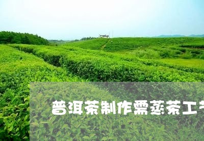 普洱茶制作需蒸茶工艺/2023100786192